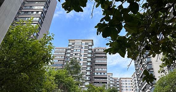 广州域名查询公司名称