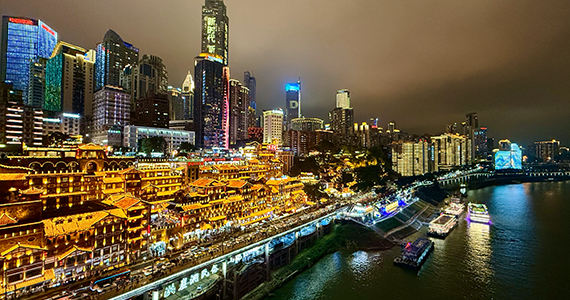 如何通过域名查询注册公司