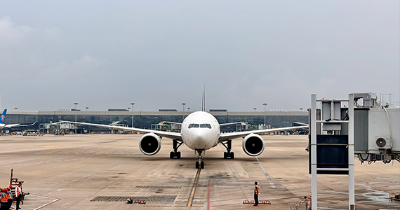 房山域名侵权公司电话查询号码