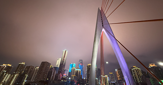 如何查询公司注册信息和域名