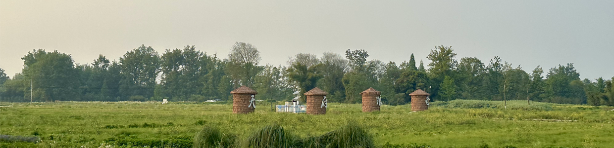 公司域名查询网